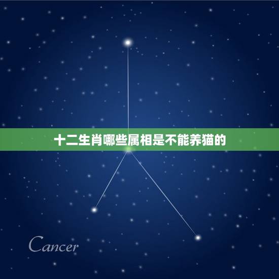 十二生肖哪些属相是不能养猫的，什么属相不能养猫