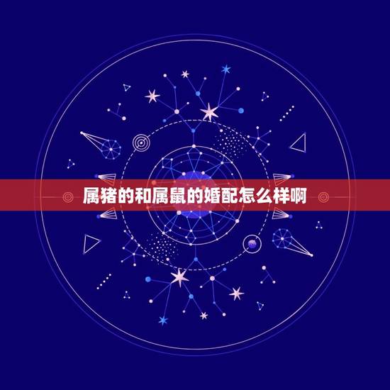 属猪的和属鼠的婚配怎么样啊，属猪人跟属鼠人相配吗