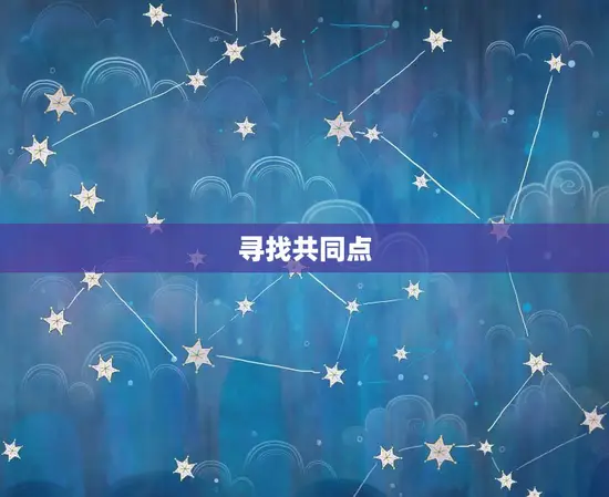 寻找共同点