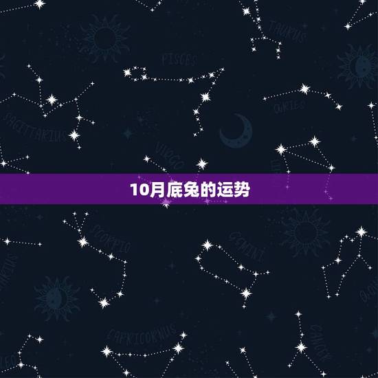 10月底兔的运势