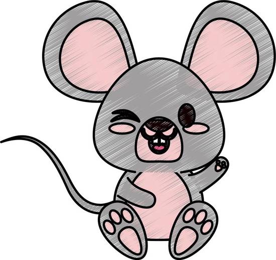 2023属相鼠忌讳颜色(如何避免犯忌)