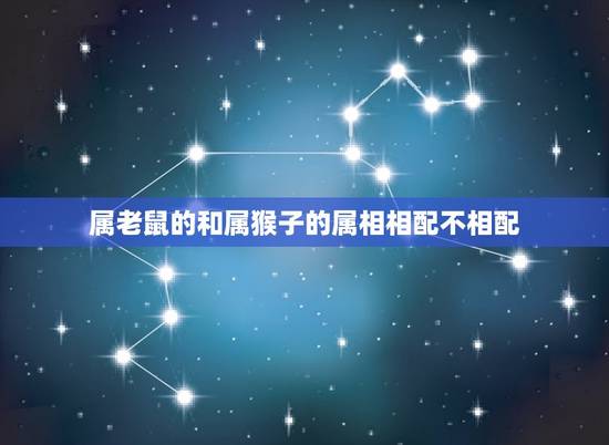 属老鼠的和属猴子的属相相配不相配，属老鼠的配属猴的 配不配