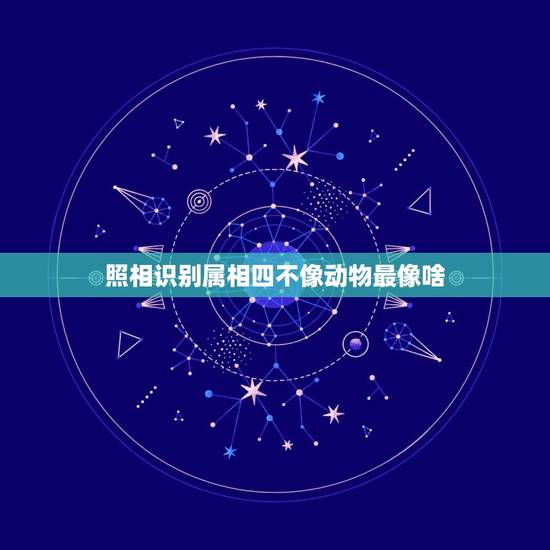 照相识别属相四不像动物最像啥，十二生肖什么动物是四不像