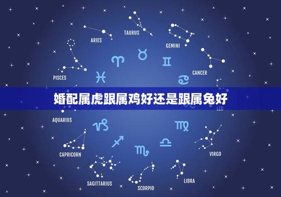 婚配属虎跟属鸡好还是跟属兔好，属鸡和属虎的合得来不