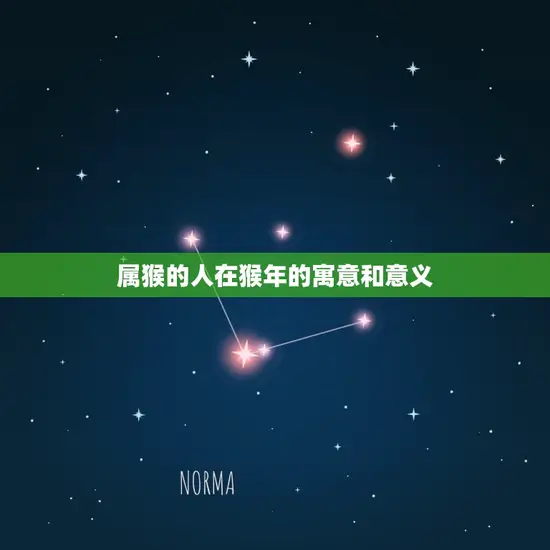 属猴的人在猴年的寓意和意义