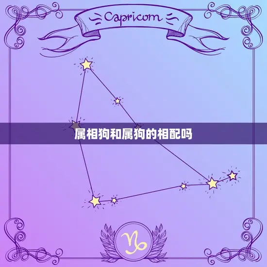 属相狗和属狗的相配吗
