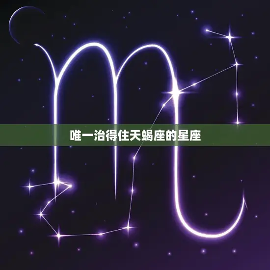 唯一治得住天蝎座的星座(揭秘谁能驾驭这个神秘的星座)