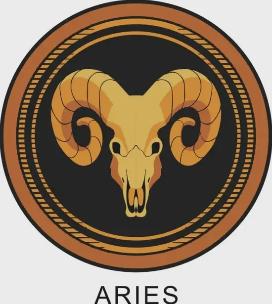 白羊座男生行动力解析