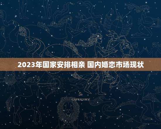 2023年国家安排相亲 国内婚恋市场现状