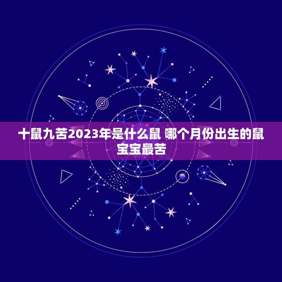 十鼠九苦2023年是什么鼠 哪个月份出生的鼠宝宝最苦