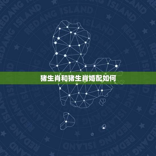 猪生肖和猪生肖婚配如何，属猪和属猪相配吗