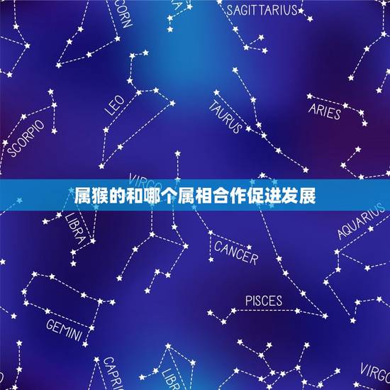 属猴的和哪个属相合作促进发展，属猴的和什么属相相冲