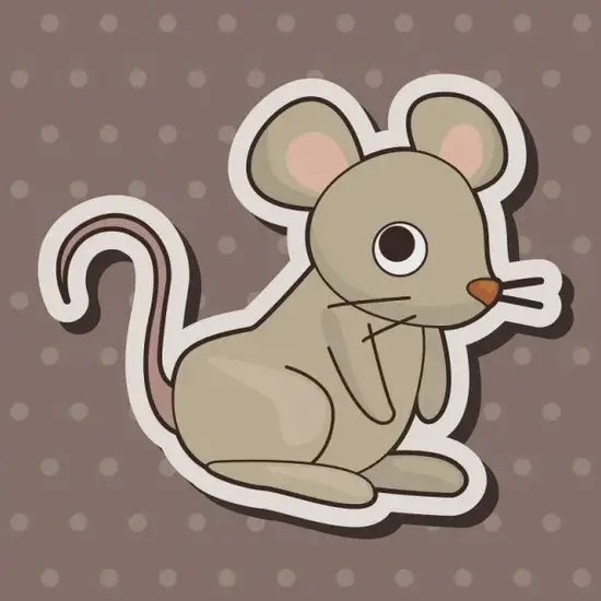 生肖鼠健康磁场改善指南