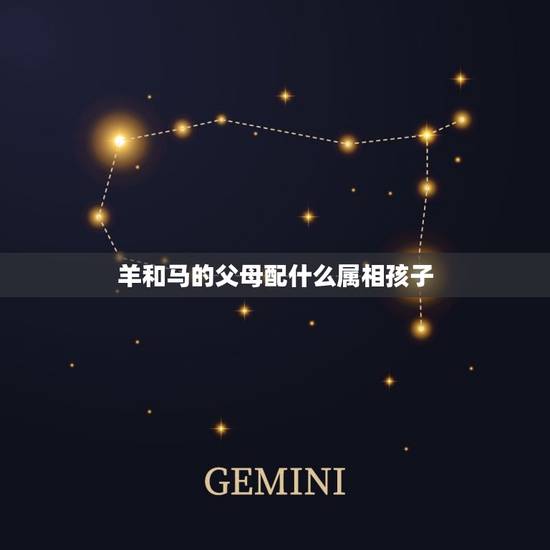 羊和马的父母配什么属相孩子，属羊父母生什么属相的孩子好