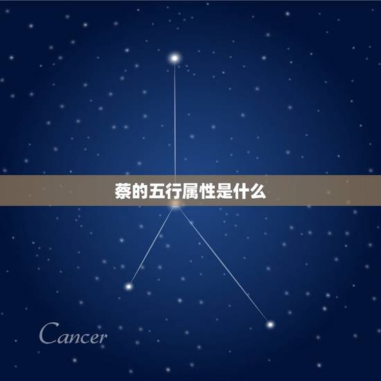 蔡的五行属性是什么，宝宝2019年11月9日中午14点