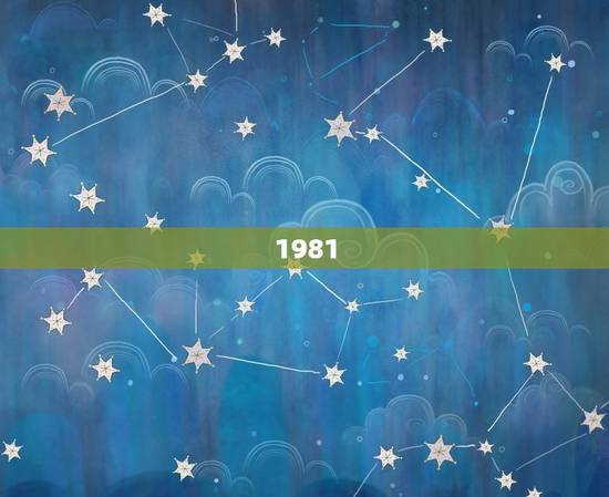 1981 年的属鸡男今年的运势 1981 年的属鸡男今年的运势