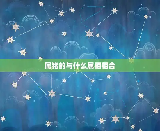 属猪的与什么属相相合