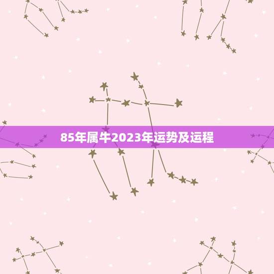 85年属牛2023年运势及运程 1985年牛年今年运势 85年属牛2023年运势及运程 1985年牛年今年运势