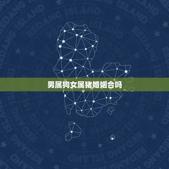 男属狗女属猪婚姻合吗
