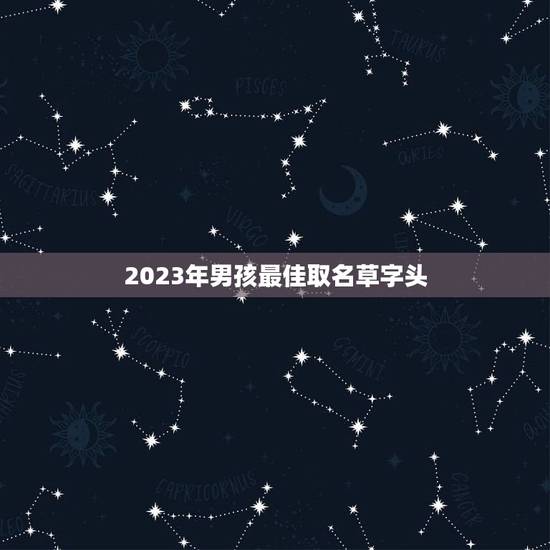 2023年男孩最佳取名草字头，亲，帮我找一个适合给男孩子取名用的，带草