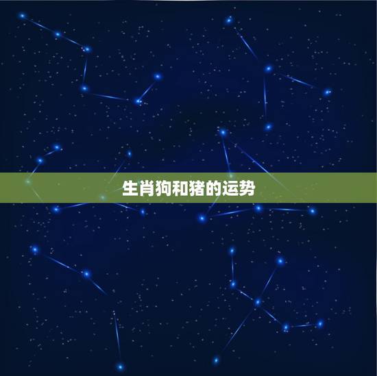 生肖狗和猪的运势，生肖狗2023年运势及运程