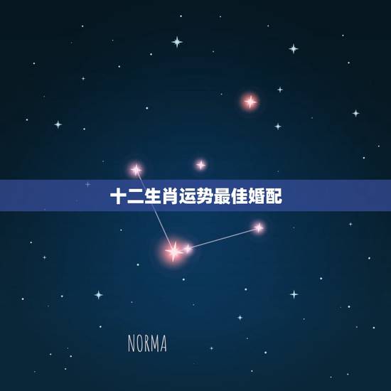 十二生肖运势最佳婚配,十二生肖最佳配偶 十二生肖运势最佳婚配,十二生肖最佳配偶