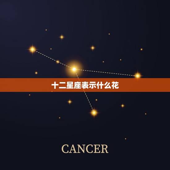 十二星座表示什么花，十二星座代表死亡之花