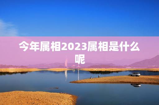 今年属相2023属相是什么呢，2023年的属相是什么生肖