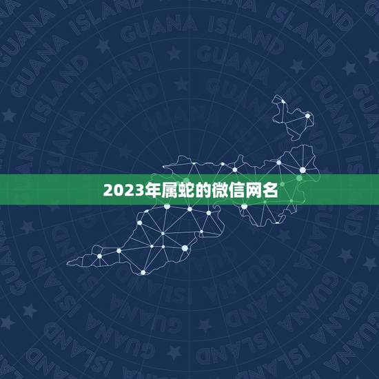 2023年属蛇的微信网名，属蛇起微信名怎么写