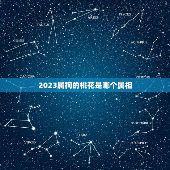 2023属狗的桃花是哪个属相，2023年属狗的幸运颜色是什么色