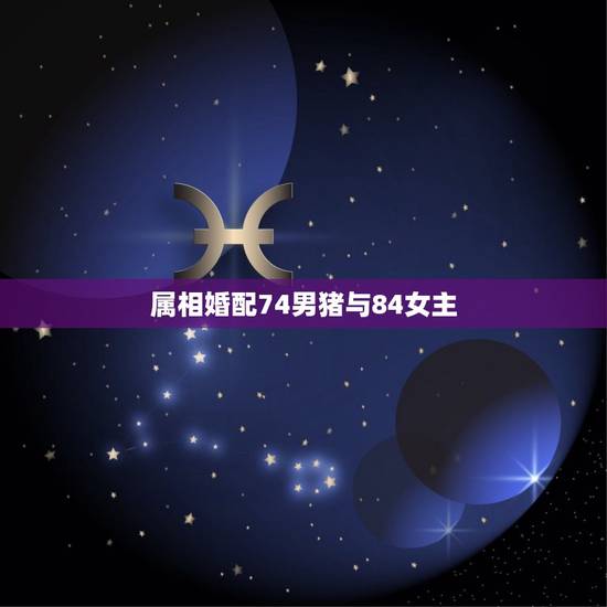 属相婚配74男猪与84女主,71年男属猪的男性配84年属鼠的女性婚姻怎 属相婚配74男猪与84女主,71年男属猪的男性配84年属鼠的女性婚姻怎