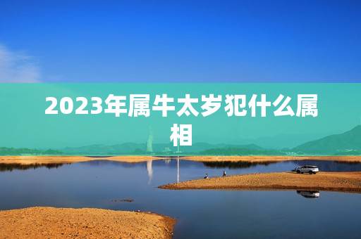 2023年属牛太岁犯什么属相，2023年什么属相犯太岁或者冲太岁