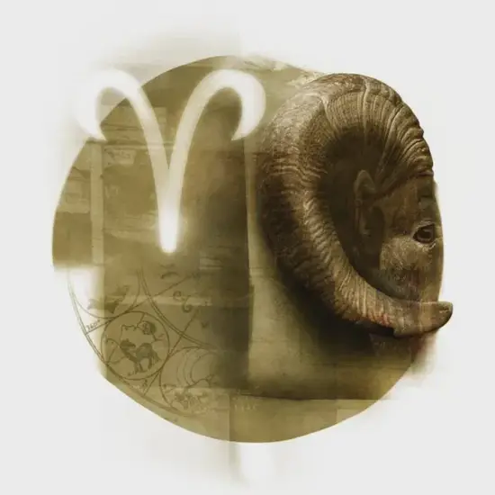 白羊座三日财经指南