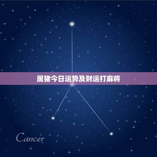 属猪今日运势及财运打麻将，属猪今日运势财运打麻将奇缘阁