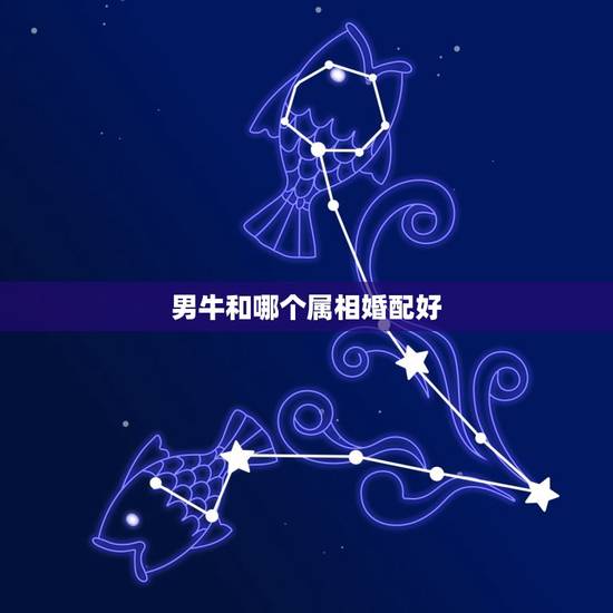 男牛和哪个属相婚配好，属牛男生和属龙女生婚姻配吗