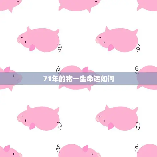 71年的猪一生命运如何(探寻命运多舛还是顺风顺水)
