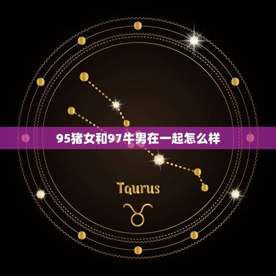 95猪女和97牛男在一起怎么样 1995年猪男和1997年牛女相配吗