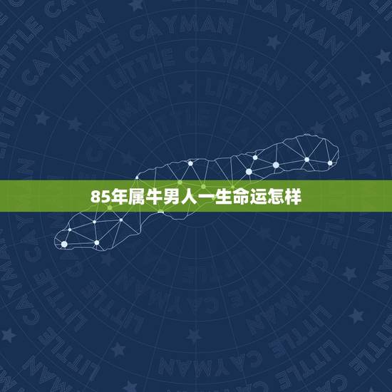 85年属牛男人一生命运怎样，1985年属牛人一生运程