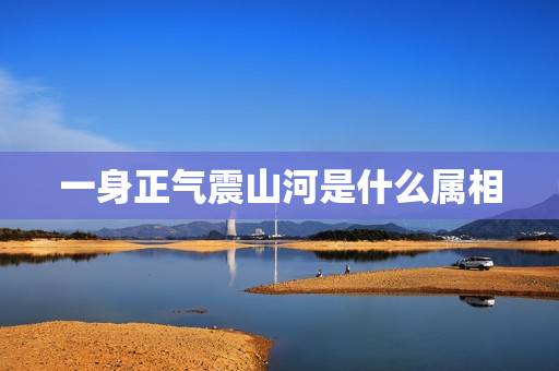 一身正气震山河是什么属相，气吞山河是什么意思