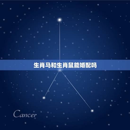 生肖马和生肖鼠能婚配吗，属相婚配：男属马和女属鼠相配吗