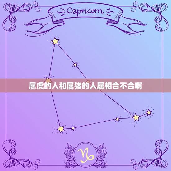 属虎的人和属猪的人属相合不合啊，本人生肖属虎。请问和属猪的人是不是相克