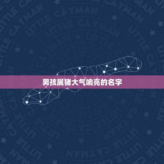 男孩属猪大气响亮的名字，请大家帮我给孩子取个名字，男孩属猪姓李，想让大