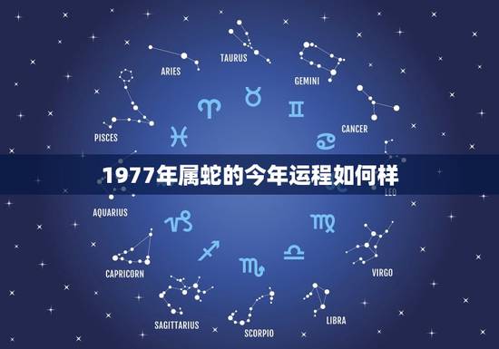 1977年属蛇的今年运程如何样(蛇行天下财运亨通)