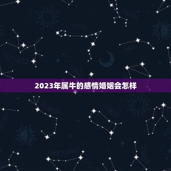 2023年属牛的感情婚姻会怎样，73年属牛49岁2023感情