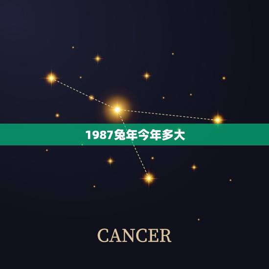 1987兔年今年多大(兔年人的年龄计算方法)