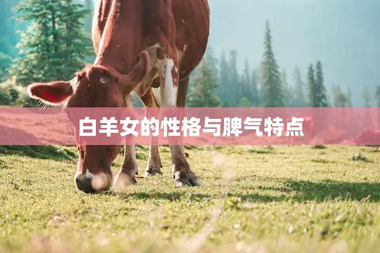 白羊女的性格与脾气特点(独具魅力火爆脾气难以控制)