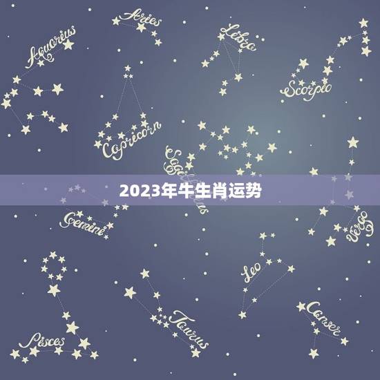 2023年牛生肖运势，2023年牛年运势
