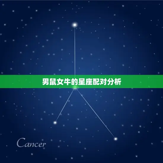 男鼠女牛的星座配对分析