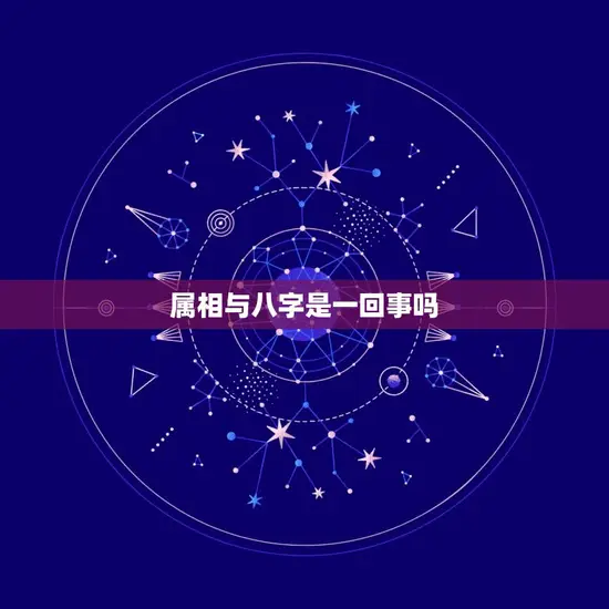 属相与八字是一回事吗