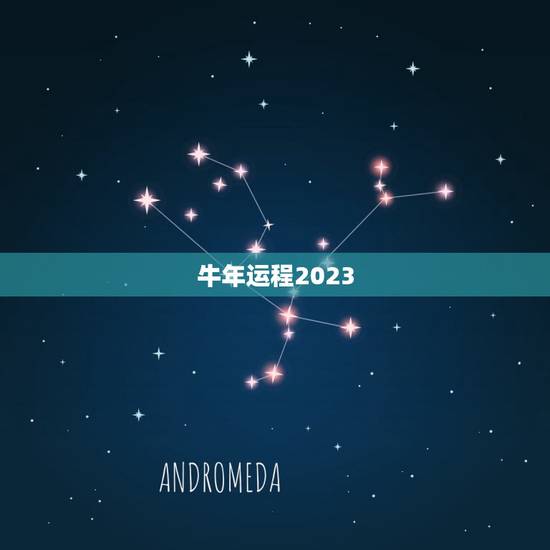 牛年运程2023，马人牛年运势2023运势详解